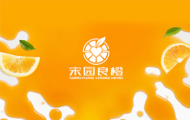 某良橙——龙岩LOGO设计